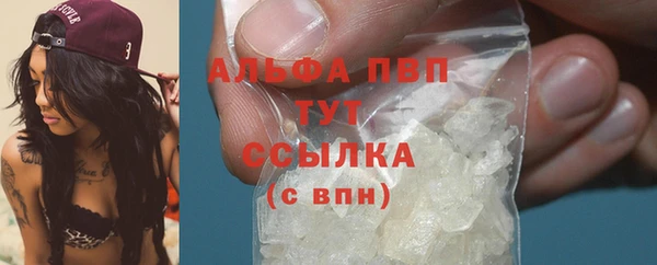 PSILOCYBIN Заводоуковск