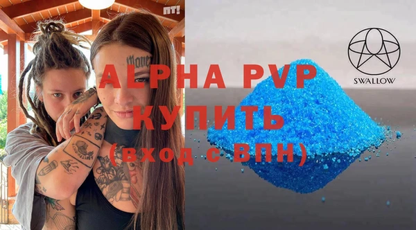 PSILOCYBIN Заводоуковск