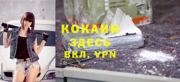 PSILOCYBIN Заводоуковск