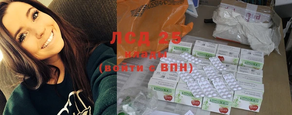 PSILOCYBIN Заводоуковск