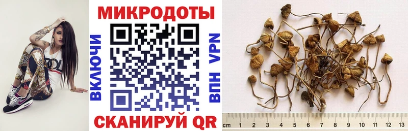что такое наркотик  Калач  Галлюциногенные грибы мухоморы 