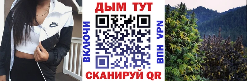закладки  Калач  Бошки марихуана THC 21% 
